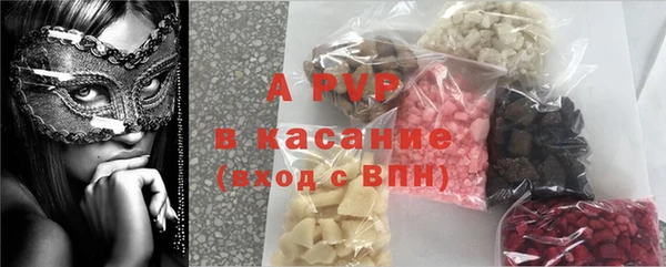 ECSTASY Пересвет