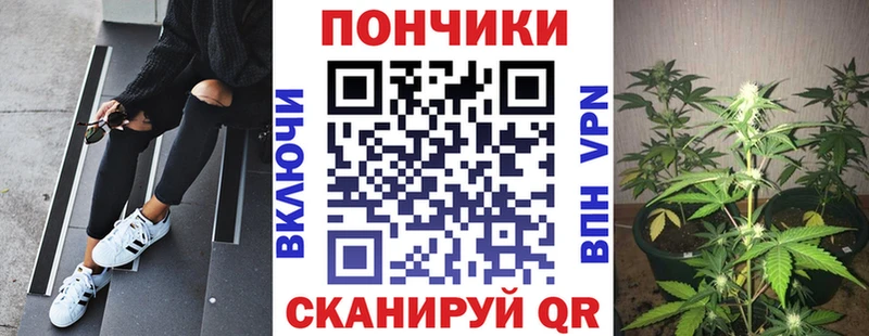 Бошки Шишки сатива  Мегион 